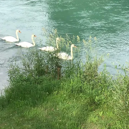 Cafe Rafaela Guest house