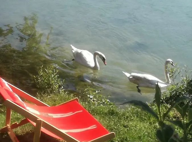 Cafe Rafaela Guest house