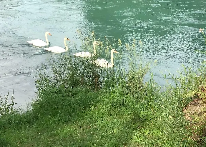 Cafe Rafaela بيت ضيافة